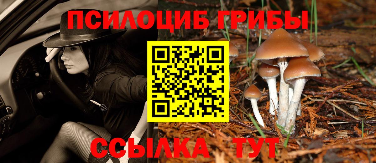 Санкт-Петербург  Галлюциногенные грибы ЛСД  Вход с VPN 