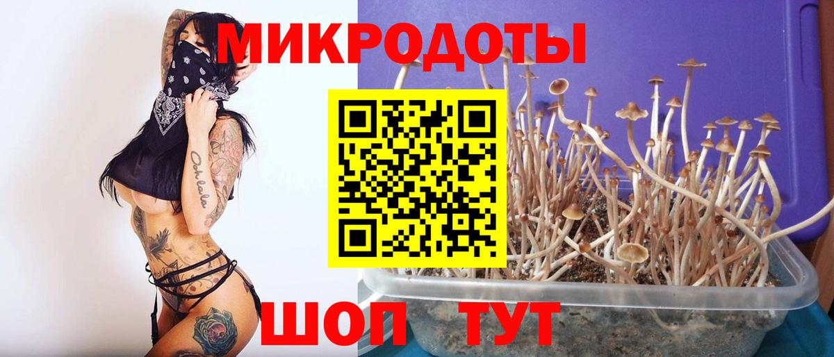 Галлюциногенные грибы MAGIC MUSHROOMS Санкт-Петербург